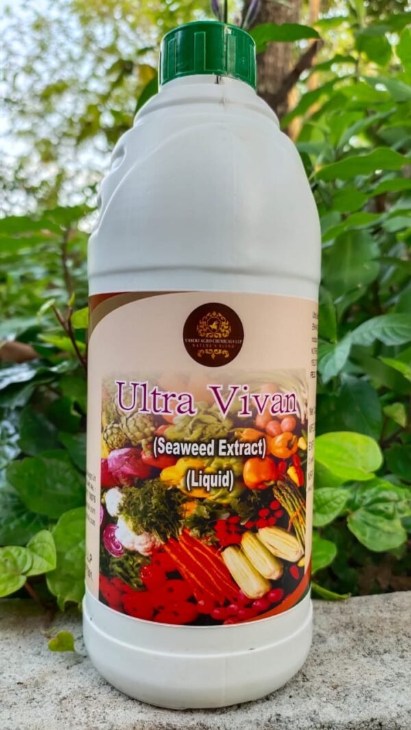 Ultra vivan